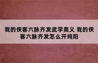 我的侠客六脉齐发武学奥义 我的侠客六脉齐发怎么开纯阳